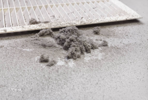 Best Air Duct Cleaning Near Me in Abbeville, AL