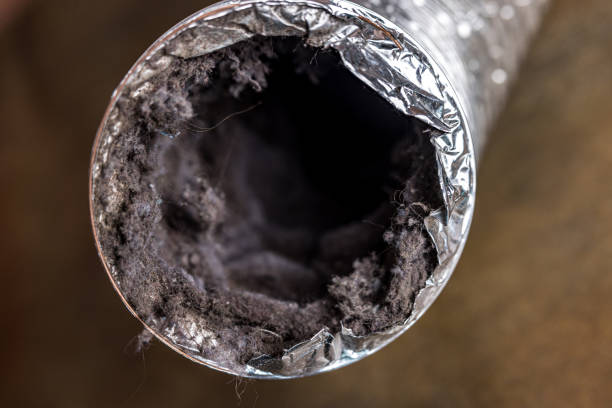 Best Emergency Air Duct Cleaning  in Abbeville, AL