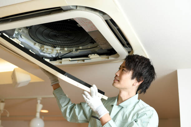 Best Professional Duct Cleaning Services  in Abbeville, AL