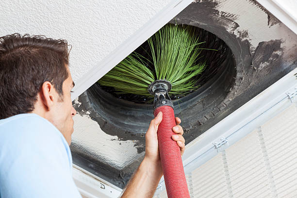 Best Affordable Air Duct Cleaning  in Abbeville, AL